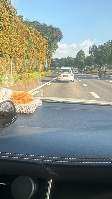 Photo from Vince Tay's Google review